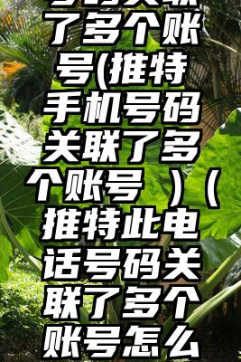 推特电话号码关联了多个账号(推特手机号码关联了多个账号 )（推特此电话号码关联了多个账号怎么办理注销）