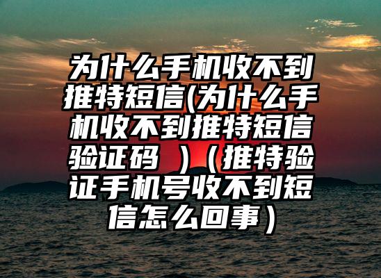 为什么手机收不到推特短信(为什么手机收不到推特短信验证码 )（推特验证手机号收不到短信怎么回事）