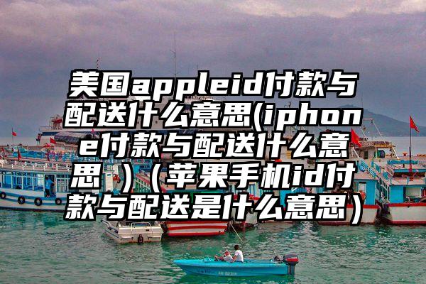 美国appleid付款与配送什么意思(iphone付款与配送什么意思 )（苹果手机id付款与配送是什么意思）