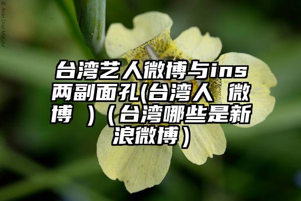 台湾艺人微博与ins两副面孔(台湾人 微博 )（台湾哪些是新浪微博）