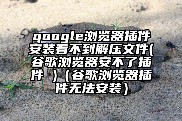 google浏览器插件安装看不到解压文件(谷歌浏览器安不了插件 )（谷歌浏览器插件无法安装）