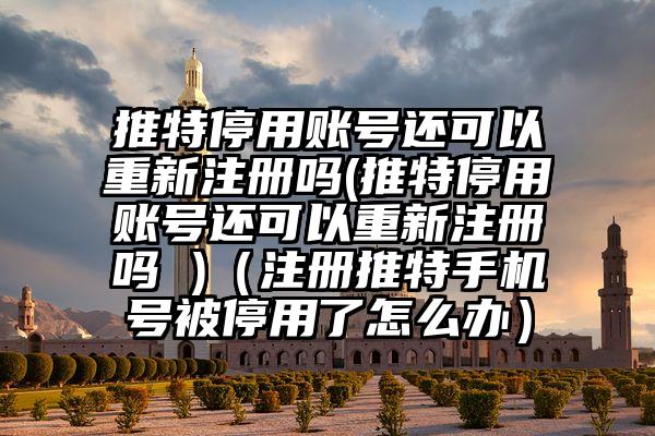 推特停用账号还可以重新注册吗(推特停用账号还可以重新注册吗 )（注册推特手机号被停用了怎么办）