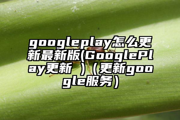 googleplay怎么更新最新版(GooglePlay更新 )（更新google服务）