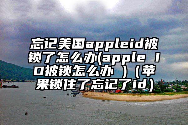 忘记美国appleid被锁了怎么办(apple ID被锁怎么办 )（苹果锁住了忘记了id）