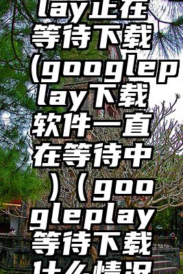 googleplay正在等待下载(googleplay下载软件一直在等待中 )（googleplay等待下载什么情况）