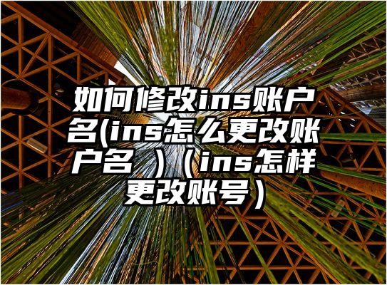 如何修改ins账户名(ins怎么更改账户名 )（ins怎样更改账号）