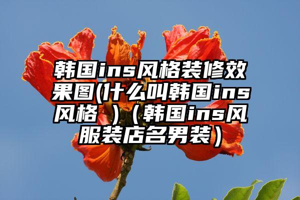 韩国ins风格装修效果图(什么叫韩国ins风格 )（韩国ins风服装店名男装）