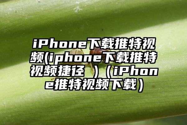 iPhone下载推特视频(iphone下载推特视频捷径 )（iPhone推特视频下载）