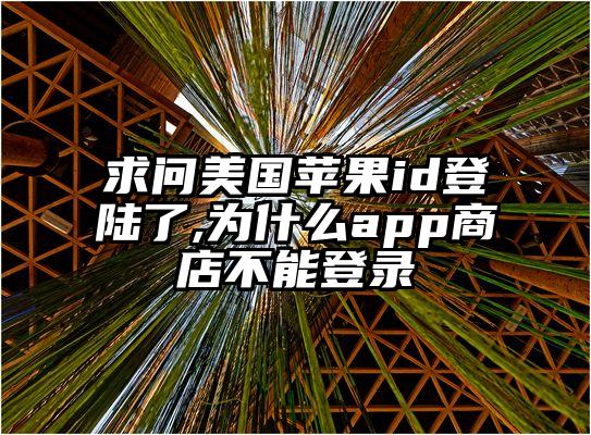 求问美国苹果id登陆了,为什么app商店不能登录