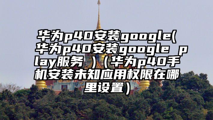 华为p40安装google(华为p40安装google play服务 )（华为p40手机安装未知应用权限在哪里设置）