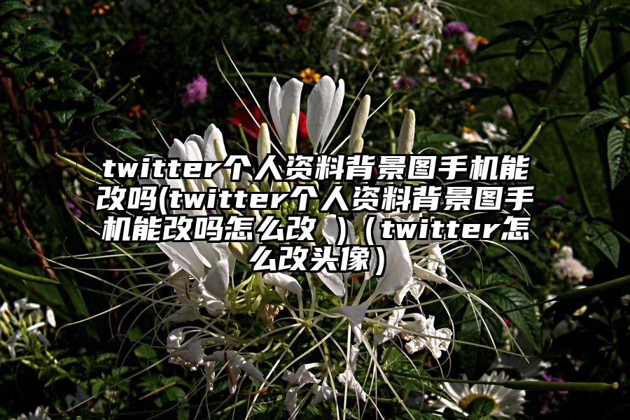 twitter个人资料背景图手机能改吗(twitter个人资料背景图手机能改吗怎么改 )（twitter怎么改头像）