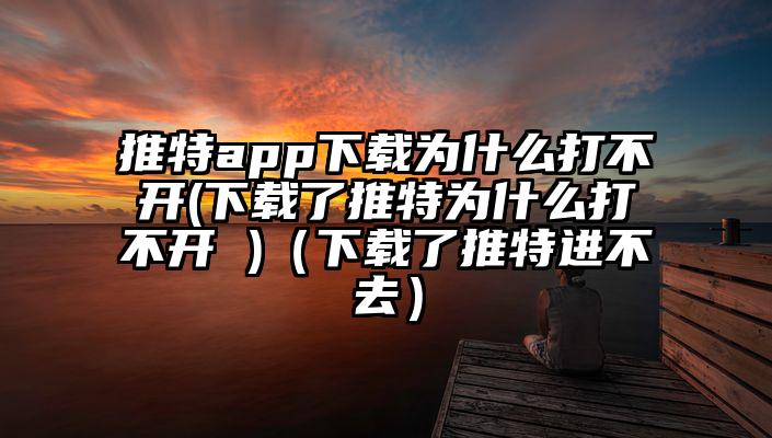 推特app下载为什么打不开(下载了推特为什么打不开 )（下载了推特进不去）