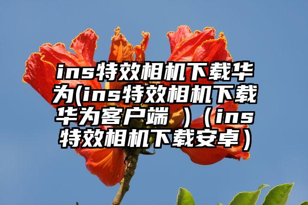 ins特效相机下载华为(ins特效相机下载华为客户端 )（ins特效相机下载安卓）