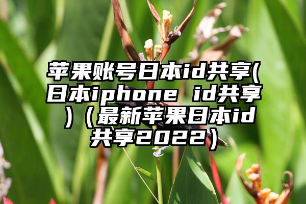 苹果账号日本id共享(日本iphone id共享 )（最新苹果日本id共享2022）