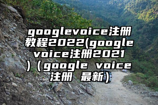 googlevoice注册教程2022(google voice注册2021 )（google voice注册 最新）