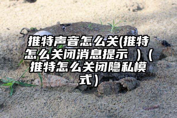 推特声音怎么关(推特怎么关闭消息提示 )（推特怎么关闭隐私模式）