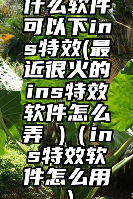 什么软件可以下ins特效(最近很火的ins特效软件怎么弄 )（ins特效软件怎么用）