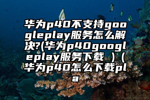 华为p40不支持googleplay服务怎么解决?(华为p40googleplay服务下载 )（华为p40怎么下载pla