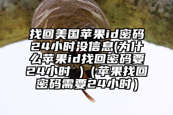 找回美国苹果id密码24小时没信息(为什么苹果id找回密码要24小时 )（苹果找回密码需要24小时）