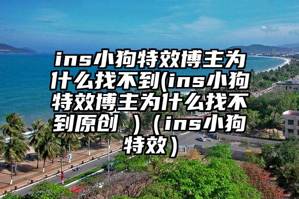 ins小狗特效博主为什么找不到(ins小狗特效博主为什么找不到原创 )（ins小狗特效）