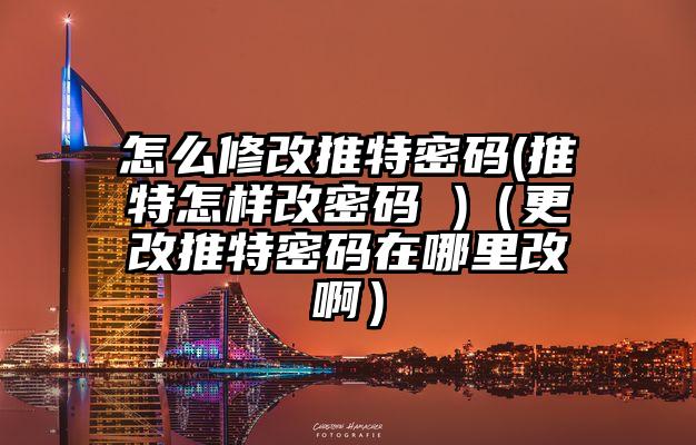 怎么修改推特密码(推特怎样改密码 )（更改推特密码在哪里改啊）