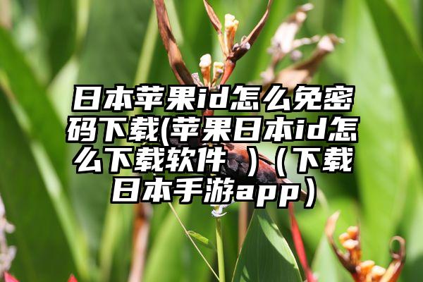 日本苹果id怎么免密码下载(苹果日本id怎么下载软件 )（下载日本手游app）