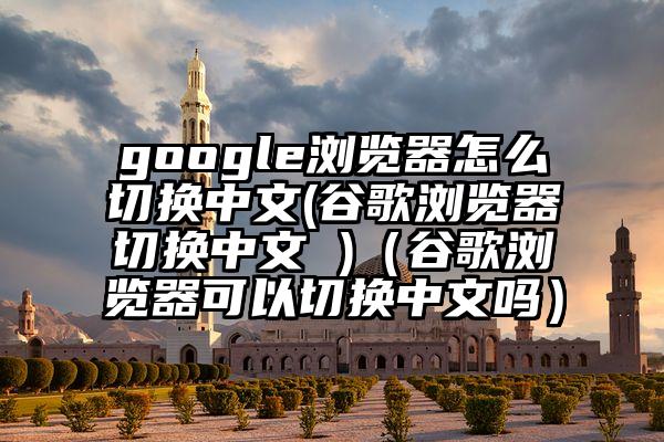 google浏览器怎么切换中文(谷歌浏览器切换中文 )（谷歌浏览器可以切换中文吗）