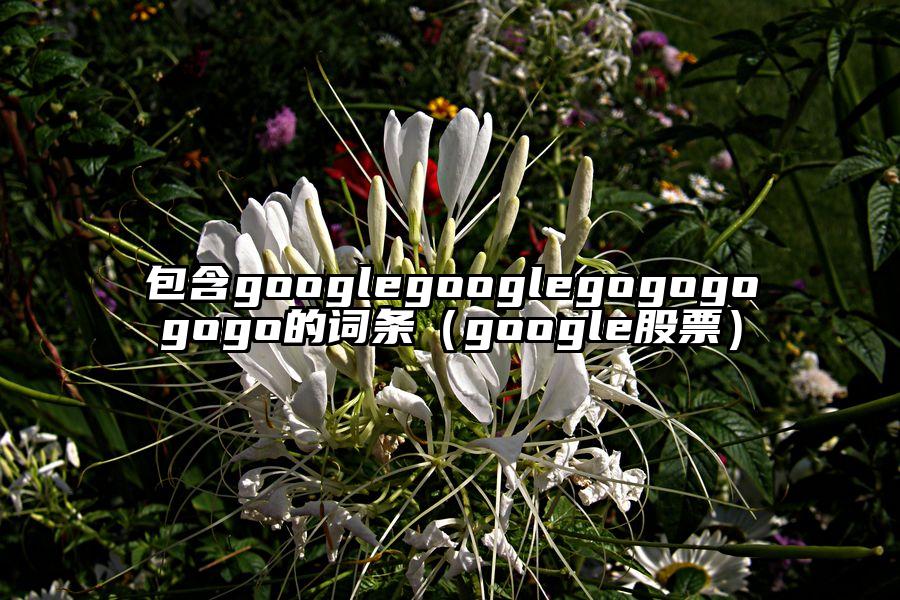 包含googlegooglegogogogogo的词条（google股票）