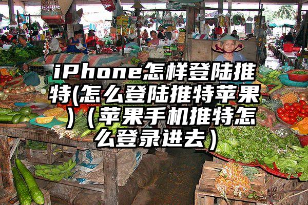 iPhone怎样登陆推特(怎么登陆推特苹果 )（苹果手机推特怎么登录进去）