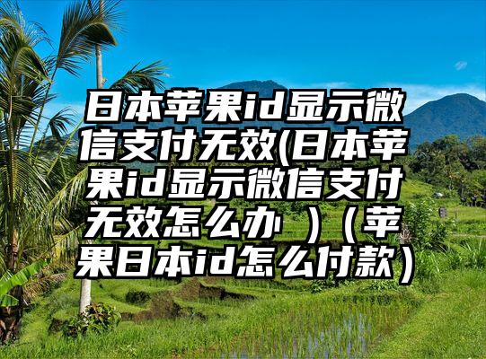 日本苹果id显示微信支付无效(日本苹果id显示微信支付无效怎么办 )（苹果日本id怎么付款）