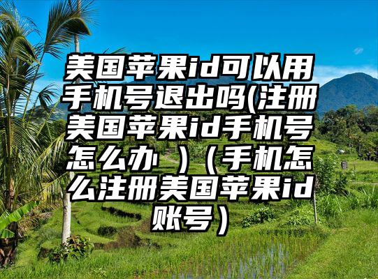 美国苹果id可以用手机号退出吗(注册美国苹果id手机号怎么办 )（手机怎么注册美国苹果id账号）