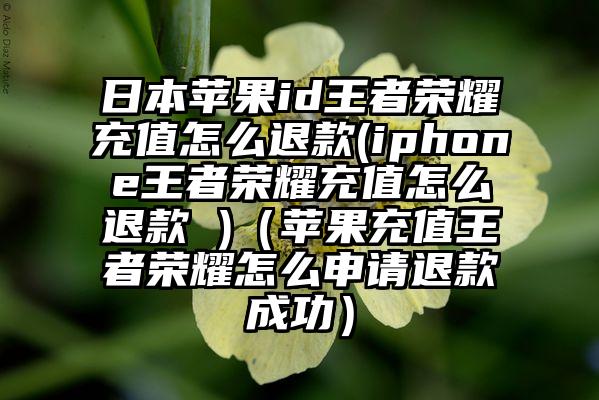 日本苹果id王者荣耀充值怎么退款(iphone王者荣耀充值怎么退款 )（苹果充值王者荣耀怎么申请退款成功）