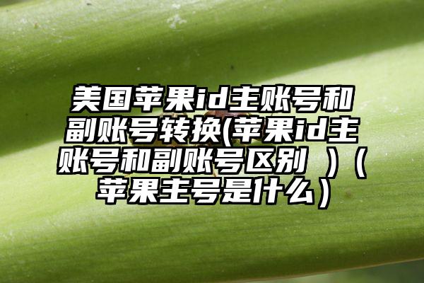 美国苹果id主账号和副账号转换(苹果id主账号和副账号区别 )（苹果主号是什么）