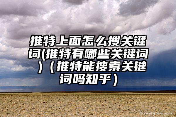 推特上面怎么搜关键词(推特有哪些关键词 )（推特能搜索关键词吗知乎）