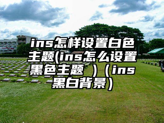 ins怎样设置白色主题(ins怎么设置黑色主题 )（ins黑白背景）