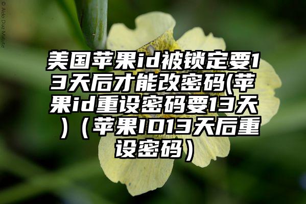 美国苹果id被锁定要13天后才能改密码(苹果id重设密码要13天 )（苹果ID13天后重设密码）