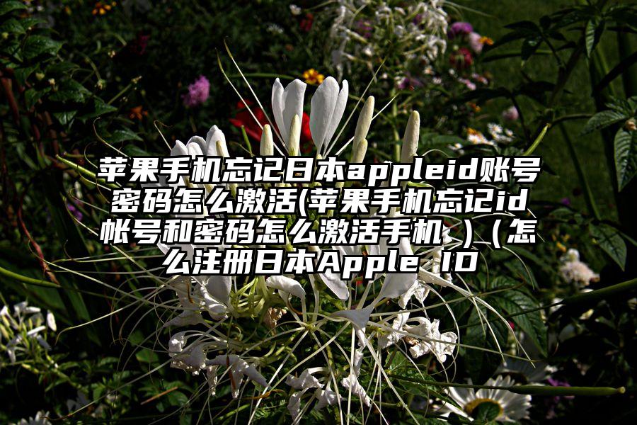 苹果手机忘记日本appleid账号密码怎么激活(苹果手机忘记id帐号和密码怎么激活手机 )（怎么注册日本Apple ID