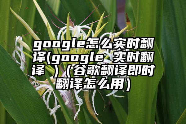 google怎么实时翻译(google 实时翻译 )（谷歌翻译即时翻译怎么用）