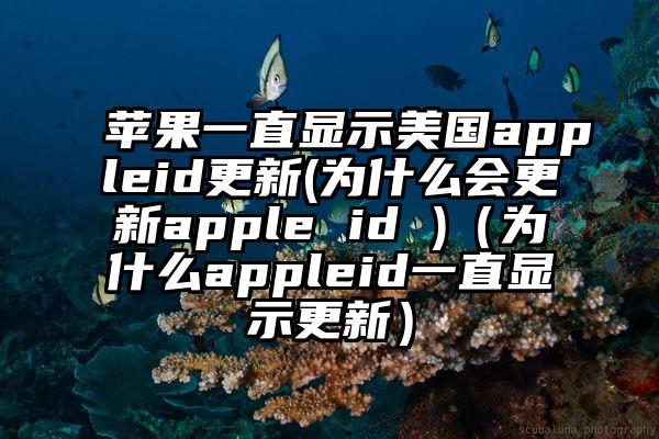 苹果一直显示美国appleid更新(为什么会更新apple id )（为什么appleid一直显示更新）