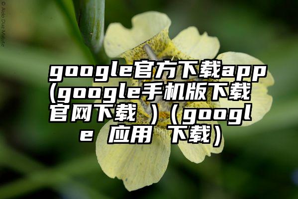 google官方下载app(google手机版下载官网下载 )（google 应用 下载）