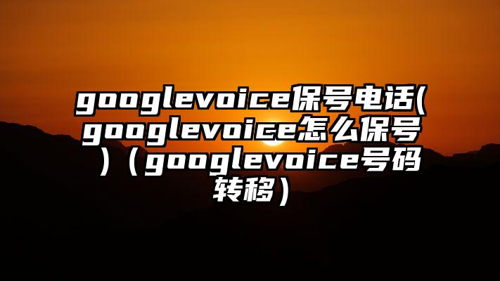 googlevoice保号电话(googlevoice怎么保号 )（googlevoice号码转移）