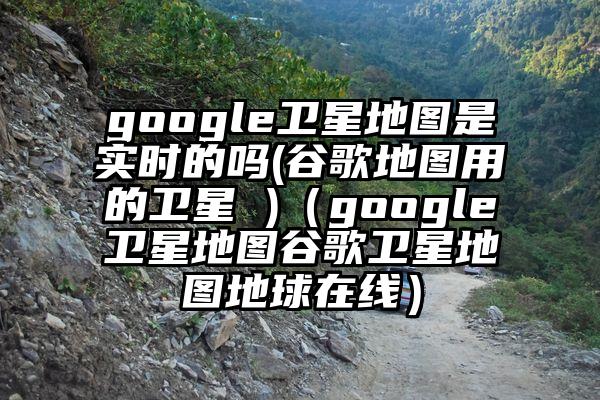 google卫星地图是实时的吗(谷歌地图用的卫星 )（google卫星地图谷歌卫星地图地球在线）