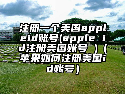 注册一个美国appleid账号(apple id注册美国账号 )（苹果如何注册美国id账号）