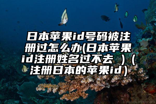 日本苹果id号码被注册过怎么办(日本苹果id注册姓名过不去 )（注册日本的苹果id）