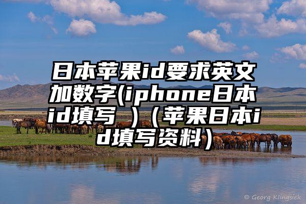 日本苹果id要求英文加数字(iphone日本id填写 )（苹果日本id填写资料）