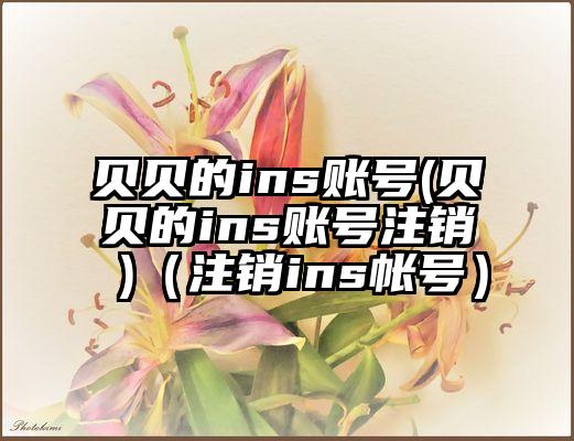 贝贝的ins账号(贝贝的ins账号注销 )（注销ins帐号）