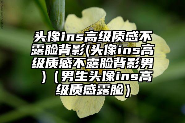 头像ins高级质感不露脸背影(头像ins高级质感不露脸背影男 )（男生头像ins高级质感露脸）