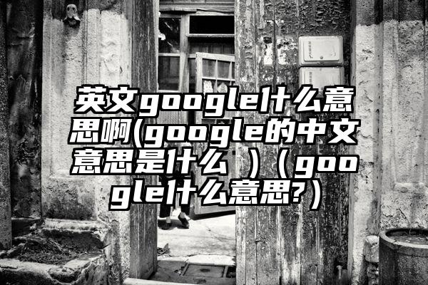 英文google什么意思啊(google的中文意思是什么 )（google什么意思?）