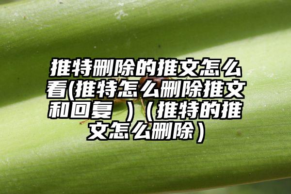 推特删除的推文怎么看(推特怎么删除推文和回复 )（推特的推文怎么删除）