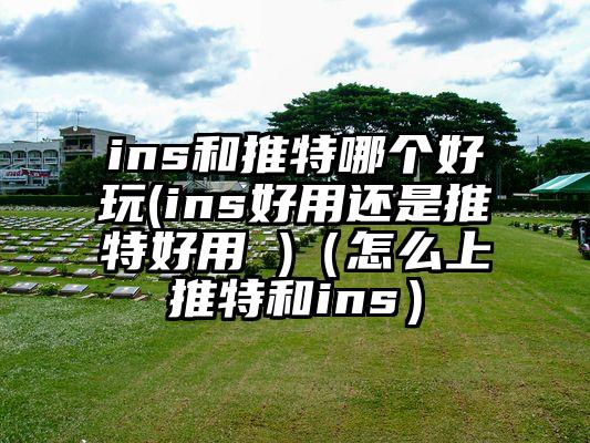 ins和推特哪个好玩(ins好用还是推特好用 )（怎么上推特和ins）